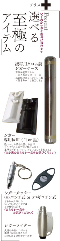 高い品質    認定   その他