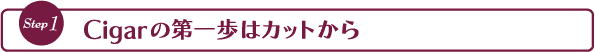 シガー・葉巻[初心者][吸い方][種類][Q&A]cigarの第一歩はカットから