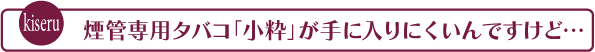 パイプの葉はどんなものを選べばいいの？シガー（葉巻）・パイプ・吸い方・種類・銘柄など初心者向け